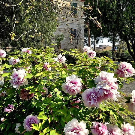 Augusta شقة Porto SantʼElpidio