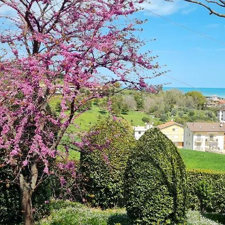 Apartament Augusta