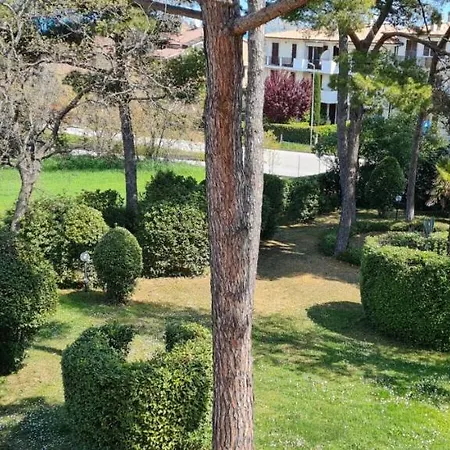 Apartament Augusta